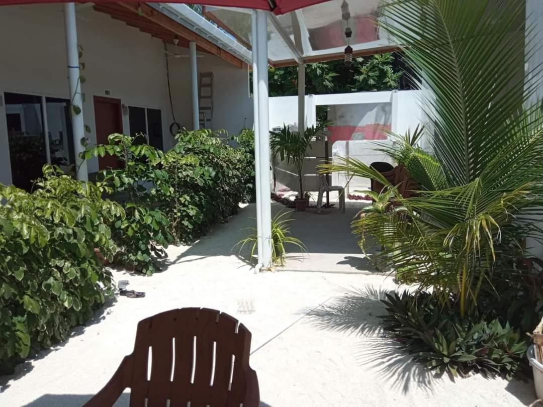 Thoddoo Garden Inn エクステリア 写真